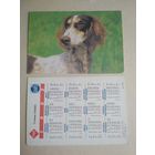 Карманный календарик. Собака . 1995 год