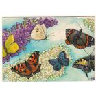 Посткроссинг. Открытка из Германии: бабочки (12,5х18). Прошла почту. Художественные марки, чёткий штемпель.