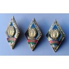 Знак Академия управления при президенте Республики Беларусь