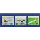 КНДР, 1976, Фауна, птицы, фазаны.