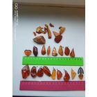 Янтарные Кулоны Калининград СССР старт с 1 рубля трёхдневный аукцион