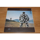 Pink Floyd - Delicate Sound Of Thunder -2LP