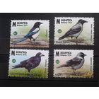 2024 Вороновые** Полная серия