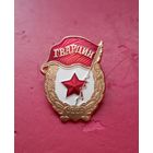 Знак "Гвардия" уменьшенная