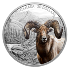 Канада 30 долларов 2020г. "Снежный баран Архар". Монета в капсуле; подарочном футляре; номерной сертификат; коробка. СЕРЕБРО 62,69гр.(2 oz).
