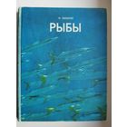 Ф. Оммани. РЫБЫ