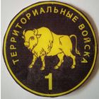 Территориальные войска