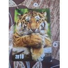 Календарик,тигр,2010