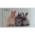 Календарик. Трио зайцев.2023