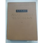 Атлас анатомии человека. Том ІІІ. Учение о нервной системе, органах чувств и органах внутренней секреции / Р. Д. Синельников. (1968 г.)