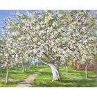 Цветущий сад