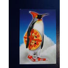 Календарик 2004 г.  Пингвин с пиццей.