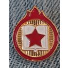 Значок пионерский Чехословакия.