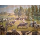 РАСПРОДАЖА КОЛЛЕКЦИИ. КАРТИНА ... 1930-50 годы. СССР. Соцреализм .КОЛХОЗ.ФЕРМА. ПАСТБИЩЕ. КОРОВЫ. АГИТАЦИОННЫЙ ПЛАКАТ ОЧЕНЬ БОЛЬШОЙ 2метра 45см. х 2метра 30см. ХОЛСТ.