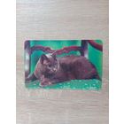 Календарик 1992