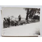 Фото деревня лошадка