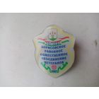 ЗНАК 20 ЛЕТ БОРИСОВСКОЕ РАЙОННОЕ ОБЩЕСТВЕННОЕ ОБЪЕДИНЕНИЕ ВЕТЕРАНОВ 2007