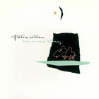 Peter Cetera (Ex.CHICAGO) – One More Story, LP 1988