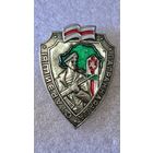 Знак Старший Пограннаряда ПВ Беларусь ранний,200 лотов с 1 рубля!!!