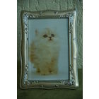 Рамка для фото (  14 х 19 , для фото 10 х 15 )