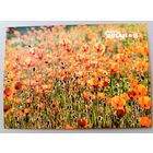 Серия "Планета Беларусь", Маковое поле. Открытка, глянец