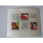 Система "Орбита".