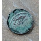 Баратинка инкузный брак