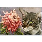 Хризантема. И.Гармашова. Россия.