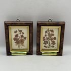 Картины-гербарии под стеклом, 2 шт. Италия. Арт 2548