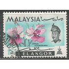 Малайские штаты(Селангор). Цветы. Орхидея Ванда. 1965г. Mi#98.