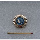 ГТО. Олимпийский.