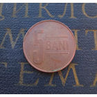 5 бань (бани) 2009 Румыния #01