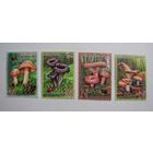 Марки РБ, Грибы. 4м.