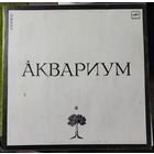 Аквариум	"Аквариум"