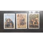 Ум-эль-Кайвайн. Фауна. Обезьяны (687)