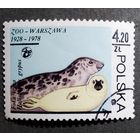 Марка Польша 1978 год 50 лет Варшавскому зоопарку