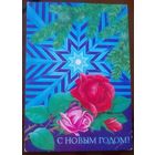 1980 год В.Лисецкий С Новым Годом