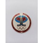 Олимпиада - 80. Москва-Таллин. Большой знак.