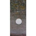 10 копеек 1915