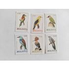 Молдавия 1992 6 м птицы