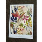 Открытка цветы, орхидеи. Ботаника. Флора. Чистая