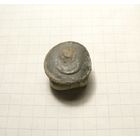 Пуговица 5 костюшка.