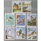 Куба птицы 8шт