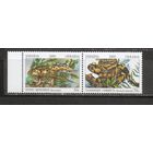 ФФ1 Украина 2000 Саламандра Тритон