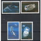 Морская фауна Азербайджан 1995 год 4 марки