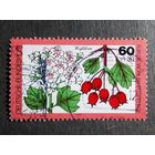 Марка Германия 1979 год Лесные ягоды