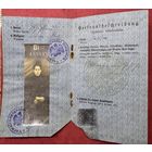 Паспорт 1917г.