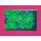 С Новым Годом! Бедарев 1971 г. Двойная.