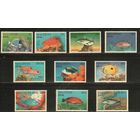Мальдивы-1992(Мих.1689-1698) , **  , Морская  Фауна , Рыбы, (полная серия)