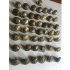 Ещё один лот с латунными морскими  большими пуговками военно-сразу послевоенного периода. цена за 1. продажа  от 5.